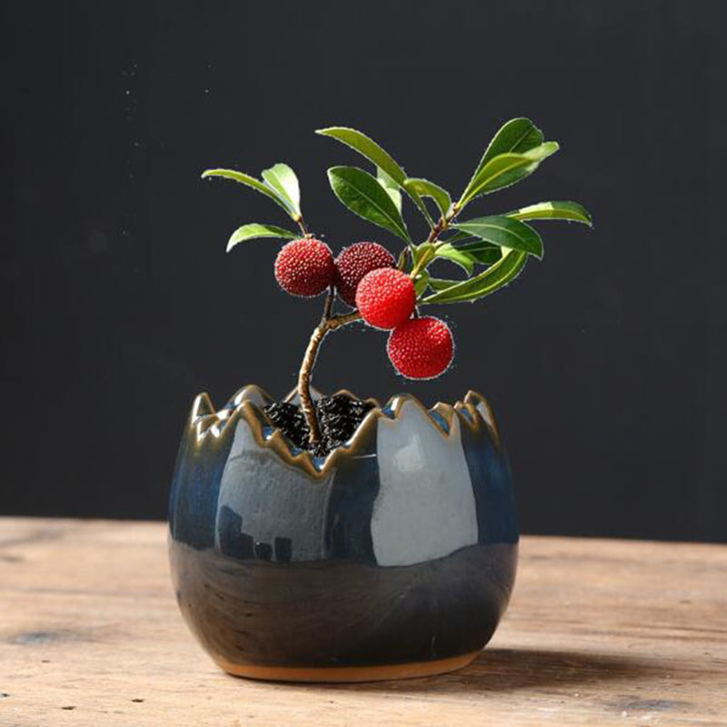 Bonsai Garden Art - 窯変釉卵殻フラワーポット クリエイティブ多肉植物鉢 盆栽花瓶 ガーデンアート ホームデコレーション デスクトップオーナメント