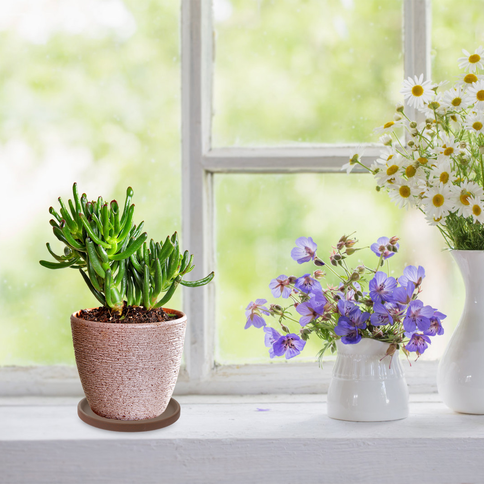 セラミック製の花鉢用トレイ、丸型プランター用受け皿、屋内・屋 - Drip Tray Saucer のレビューと価格