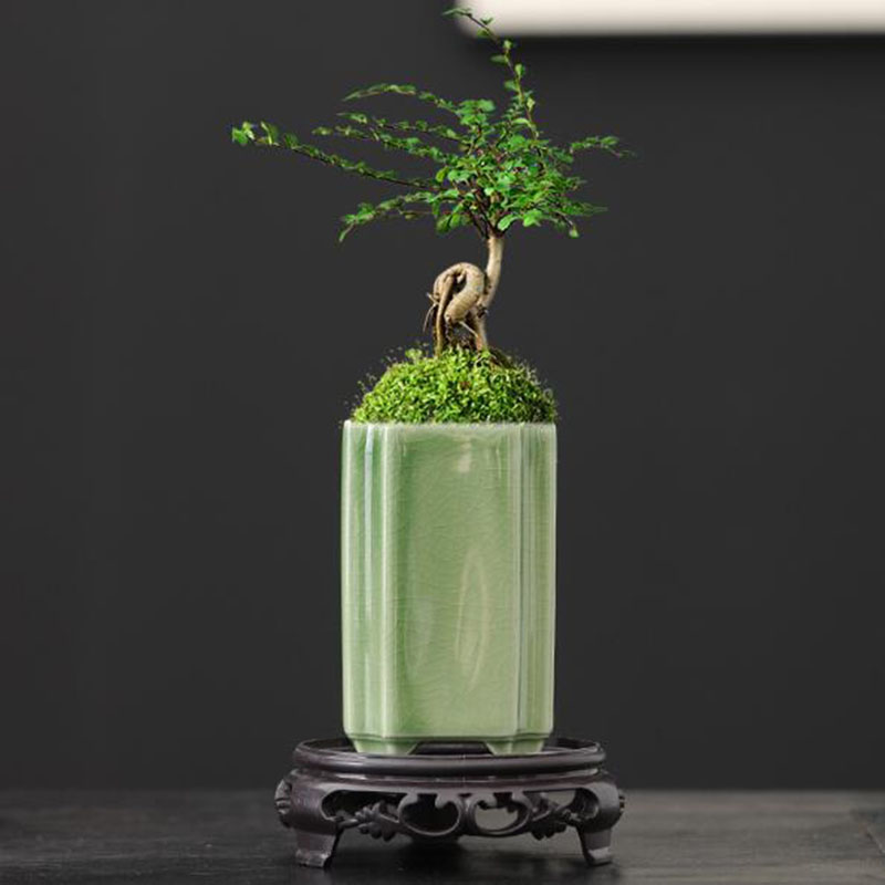 磁器正方形青磁釉蘭植木鉢盆栽花瓶植木鉢工芸品アート装飾品家の - Bonsai Garden Art のレビューと価格
