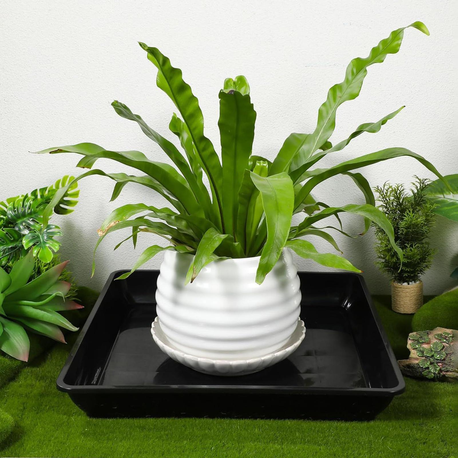 2個入り植木鉢ベース 厚みのあるバルコニー植物トレイ プラン - Drip Tray Saucer のレビューと価格