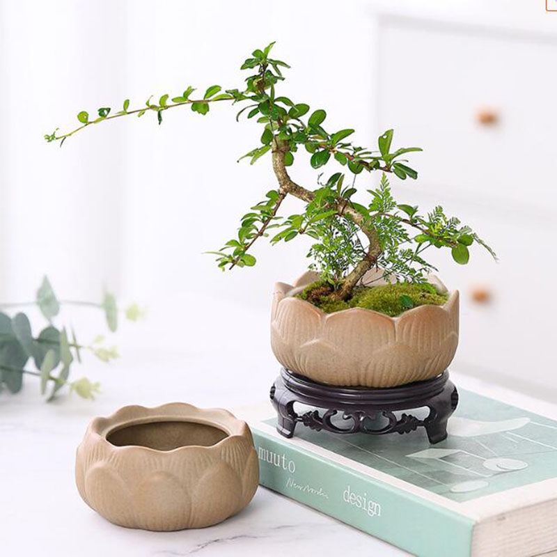 粗い蓮の緑の植木鉢,盆栽,通気性のある容器,ガーデニング,芸 - Bonsai Garden Art のレビューと価格