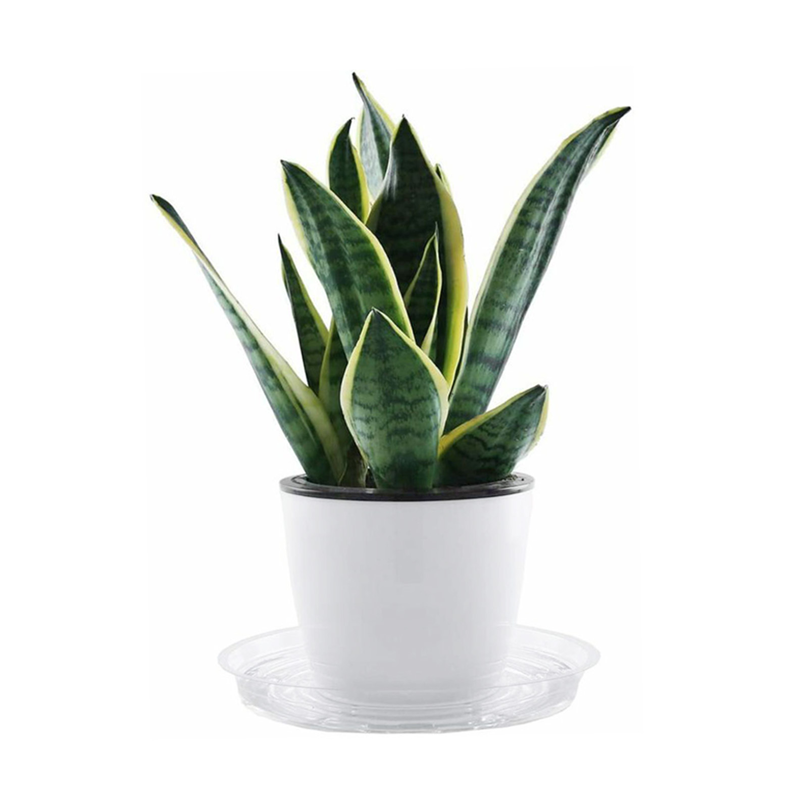 10個セット ガーデンプラントソーサー ドリップトレイ 樹脂 - Drip Tray Saucer のレビューと価格