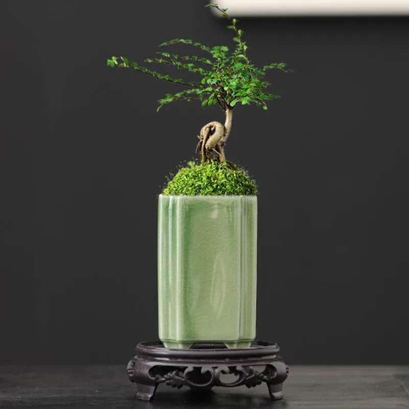 磁器製正方形の青磁釉薬蘭の花瓶盆栽鉢植え工芸品アート装飾品ホ - Bonsai Garden Art のレビューと価格