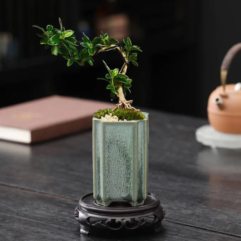 磁器製正方形の青磁釉薬蘭の花瓶盆栽鉢植え工芸品アート装飾品ホ - Bonsai Garden Art のレビューと価格