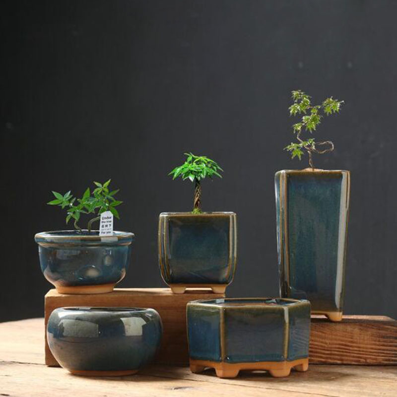窯変釉卵殻フラワーポット　クリエイティブ多肉植物鉢　盆栽花瓶 - Bonsai Garden Art のレビューと価格