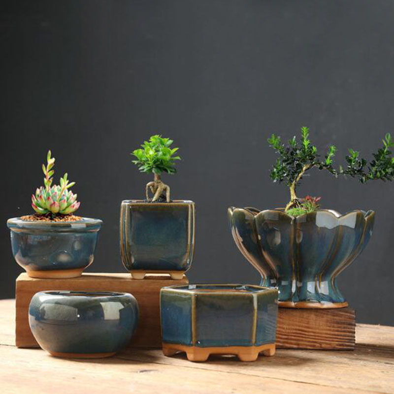 窯変釉卵殻フラワーポット　クリエイティブ多肉植物鉢　盆栽花瓶 - Bonsai Garden Art のレビューと価格