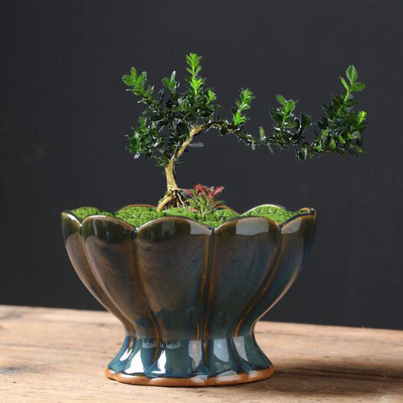 窯変釉卵殻フラワーポット　クリエイティブ多肉植物鉢　盆栽花瓶 - Bonsai Garden Art のレビューと価格